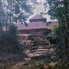 sc-01.jpg