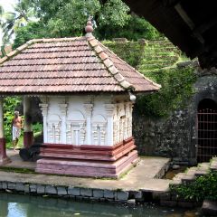169-6998_IMG-v1.jpg
