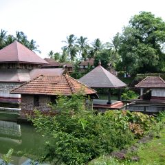 170-7001_IMG-v1.jpg