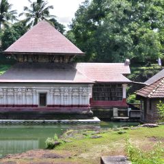 170-7002_IMG-v1.jpg