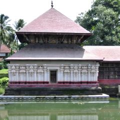 170-7003_IMG-v1.jpg