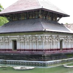 170-7007_IMG-v1.jpg