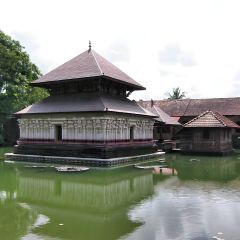 170-7008_IMG-v1.jpg