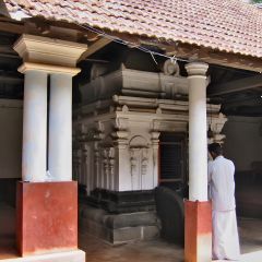 170-7010_IMG-v1.jpg