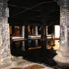 148-4817_IMG-v1.png
