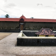 148-4856_IMG-v1.png