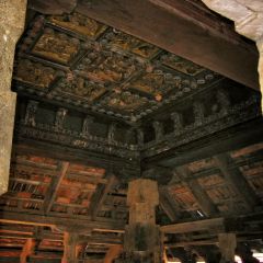 117-1796_IMG-v1.png