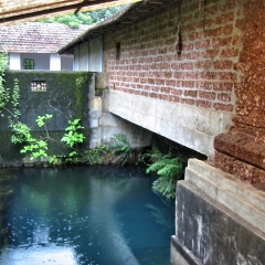 IMG_0012-v1.png