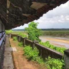 IMG_0608-v1.png