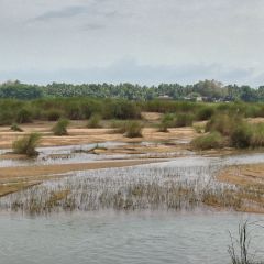 IMG_0622-v1.png