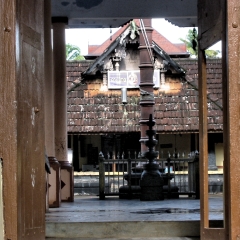 IMG_2535.png
