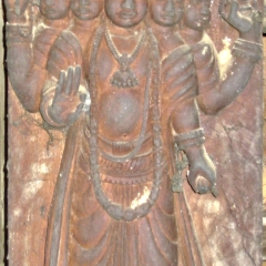 IMG_2543.png