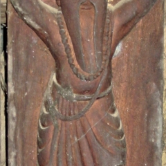 IMG_2564.png