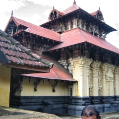 IMG_2571.png