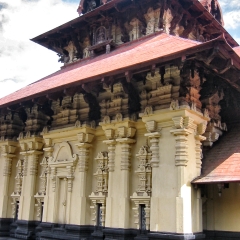 IMG_2572.png