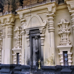 IMG_2576.png
