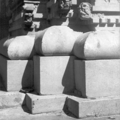 EK_0009-bw.png