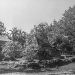 EK_0013-bw.png
