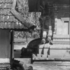 EK_0016-bw.png