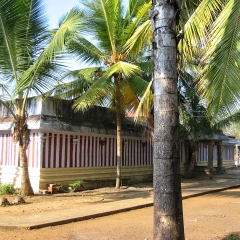 IMG_3410.png
