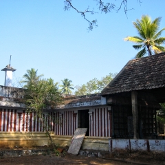 IMG_3416.png