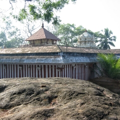 IMG_3419.png