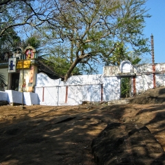 IMG_3422.png