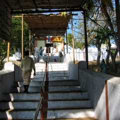 IMG_3425.png