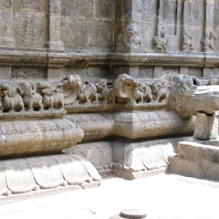 IMG_3801.png