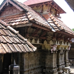 IMG_3802.png