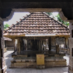 IMG_3853.png