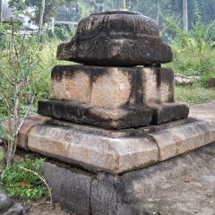DSCN0389-v1.png
