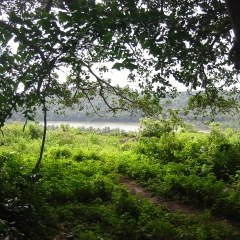 IMG_0657-v1.png