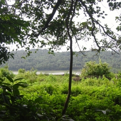 IMG_0659-v1.png
