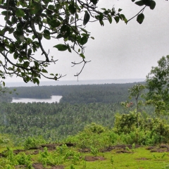 IMG_0660-v1.png