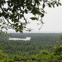 IMG_0661-v1.png