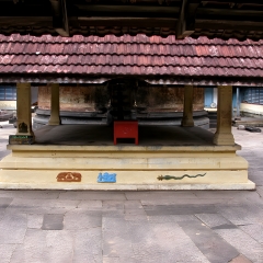 DSCN0449.png