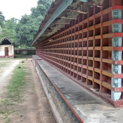 DSCN0534.png