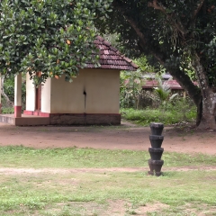 DSCN0548.png