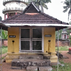 DSCN0565.png
