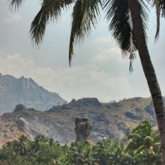 IMG_2179-v1.png