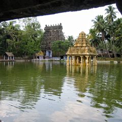 IMG_2186-v1.png