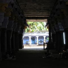 IMG_3874-v1.png