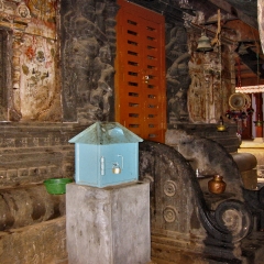IMG_8312.png