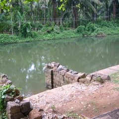 IMG_8377.png