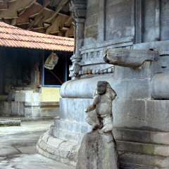 IMG_3636-v1.png
