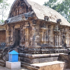 IMG_3655-v1.png