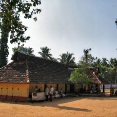 160-6031_IMG-v1.jpg