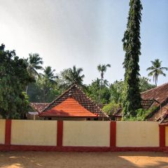 160-6033_IMG-v1.jpg