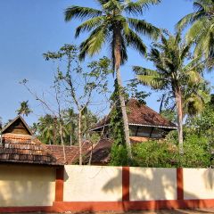 160-6036_IMG-v1.jpg